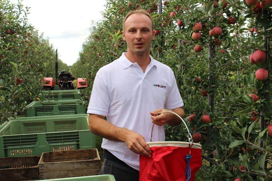 Zbieraki do jabłek – tańsze zamienniki dla fruboxów