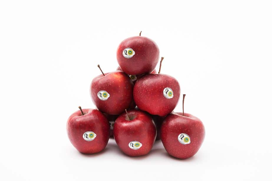 500 lat Jabłek Grójeckich!