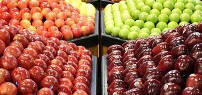 11apple.jablka.e-sadownictwo