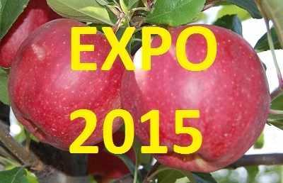 expo 2015 next