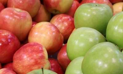 jablka.e-sadownictwo