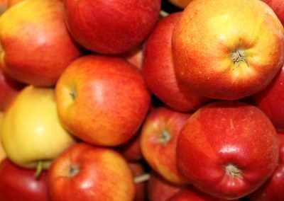 multiapple.e-sadownictwo