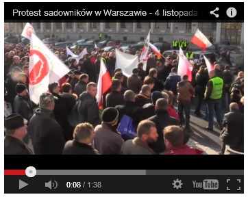 protestsad.4listopada
