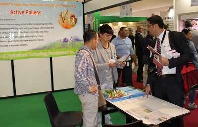 pylekzchin