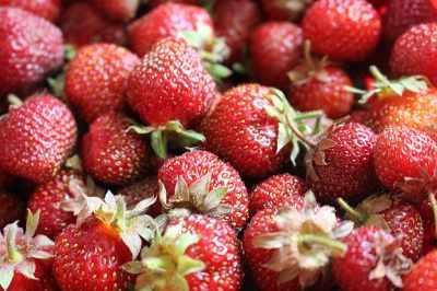 truskawki2