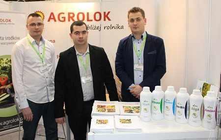 alga