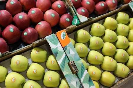applebico