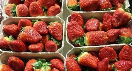 cenytruskawekwniemczech