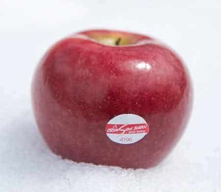 csnow