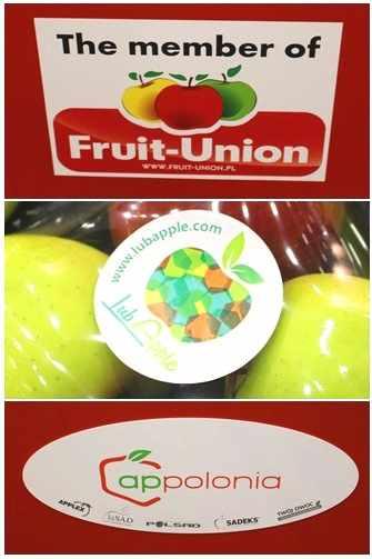 frulubapp
