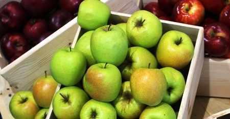 goldenigala.e-sadownictwo