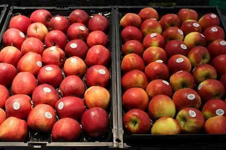 jablkadochinprocedura