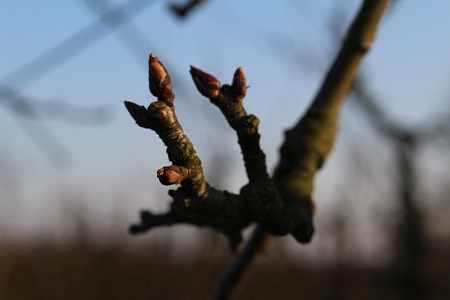 marzeczoomwsadzie2015