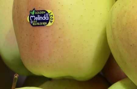 melindapromo