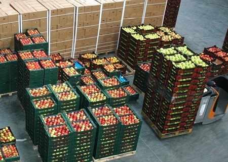 popytnapolskiejablka