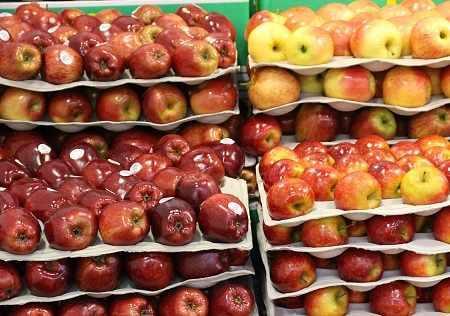 produkcjajablekwpoludniowejpolk