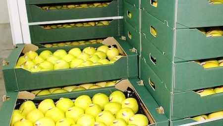 reeksportpolskichjablek