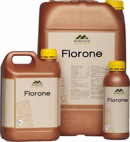 Floronenastrone