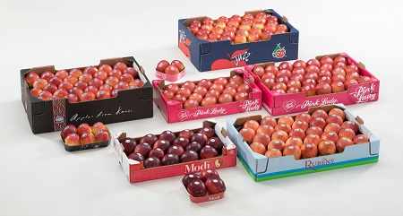 VOG Club apples