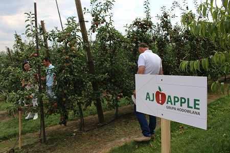 ajapplezdzary
