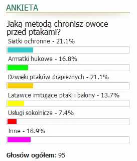 ankieta ptaki