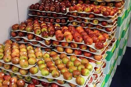 applexport