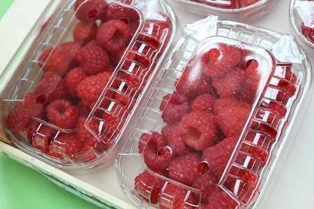 enrosadiramacfrut