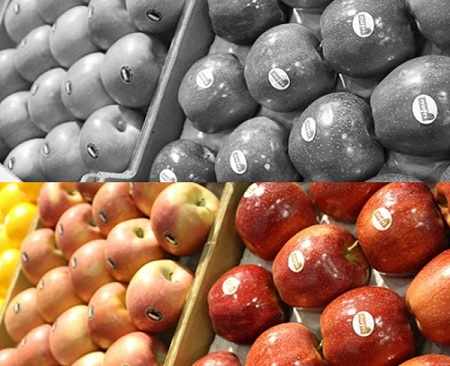 greenpapple