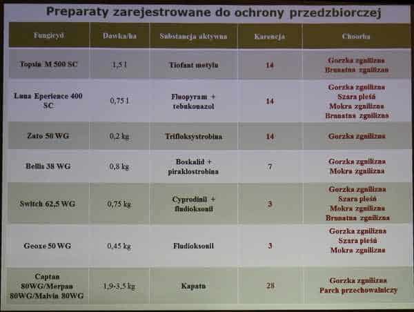 przedzbi