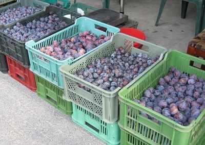 sliwkiukrainaipolska