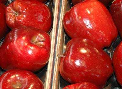 cz czerwone jablka woskowane karton r