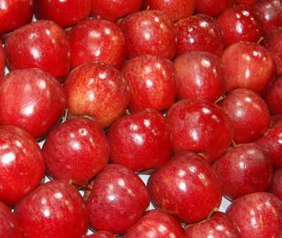 intensywnie wybarwione r