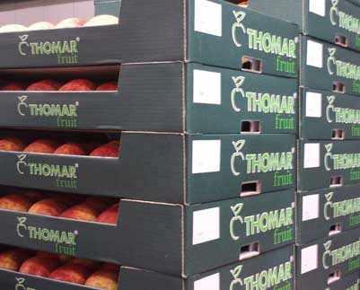 jablka w kartonach r