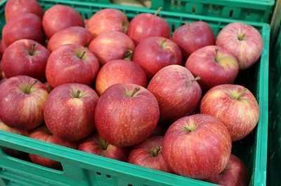 plasticboxredapple