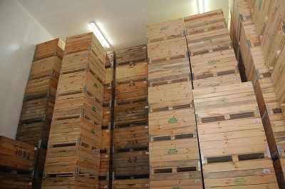 skrzyniopaletyw przecho walni