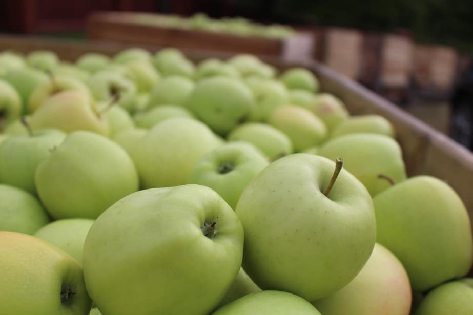 Arkadiusz Gaik: Ceny jabłek muszą pójść w górę, ale to zależy od sadowników!