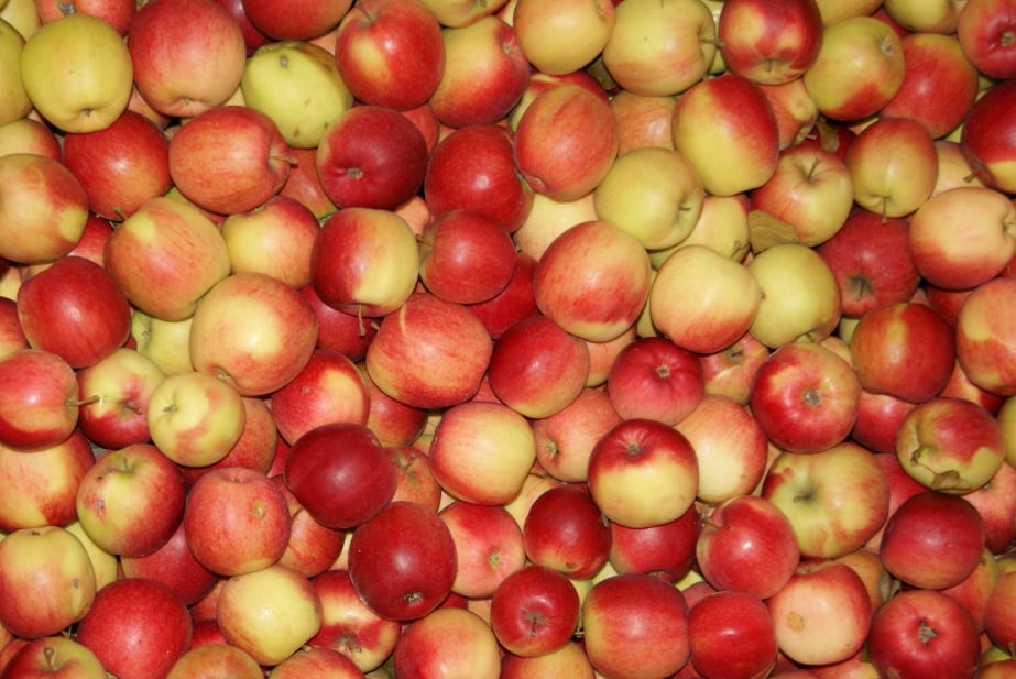 Aktualne ceny jabłek deserowych w grupach producenckich  – 28.01.2020