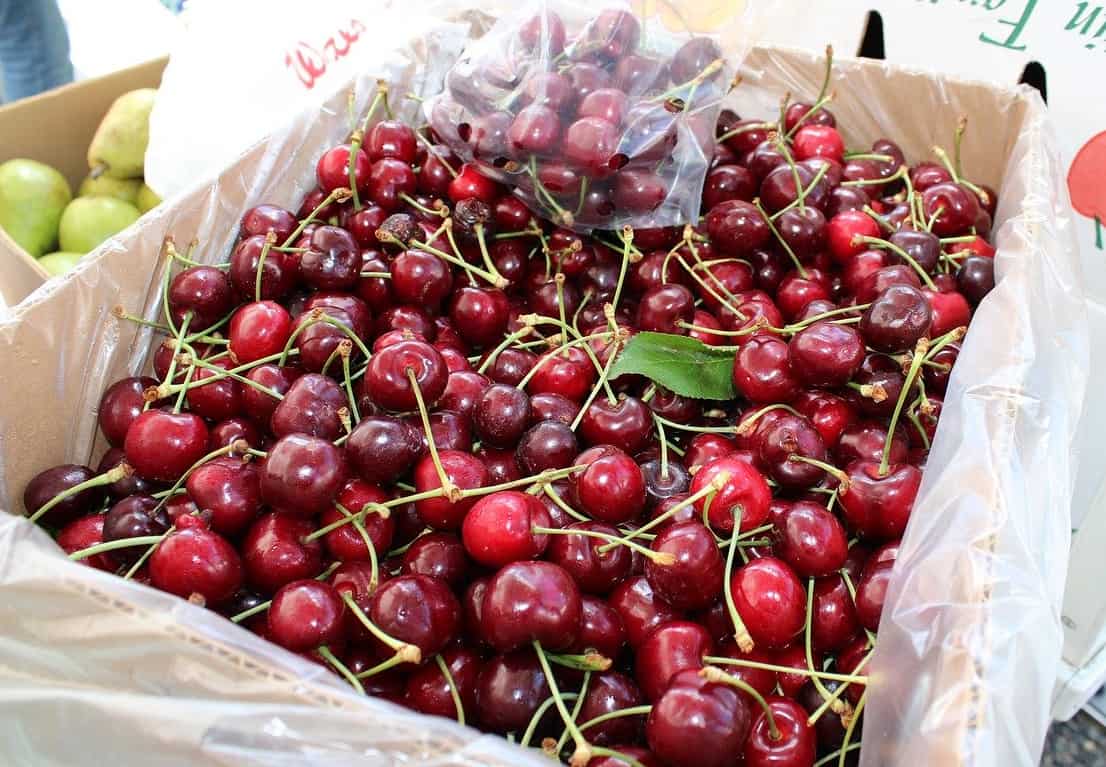 Na Ukrainie ruszył sezon czereśniowy