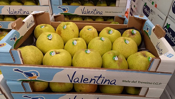 borsino-mele-bologna-ingrosso-grande-5-ifn.jpg
