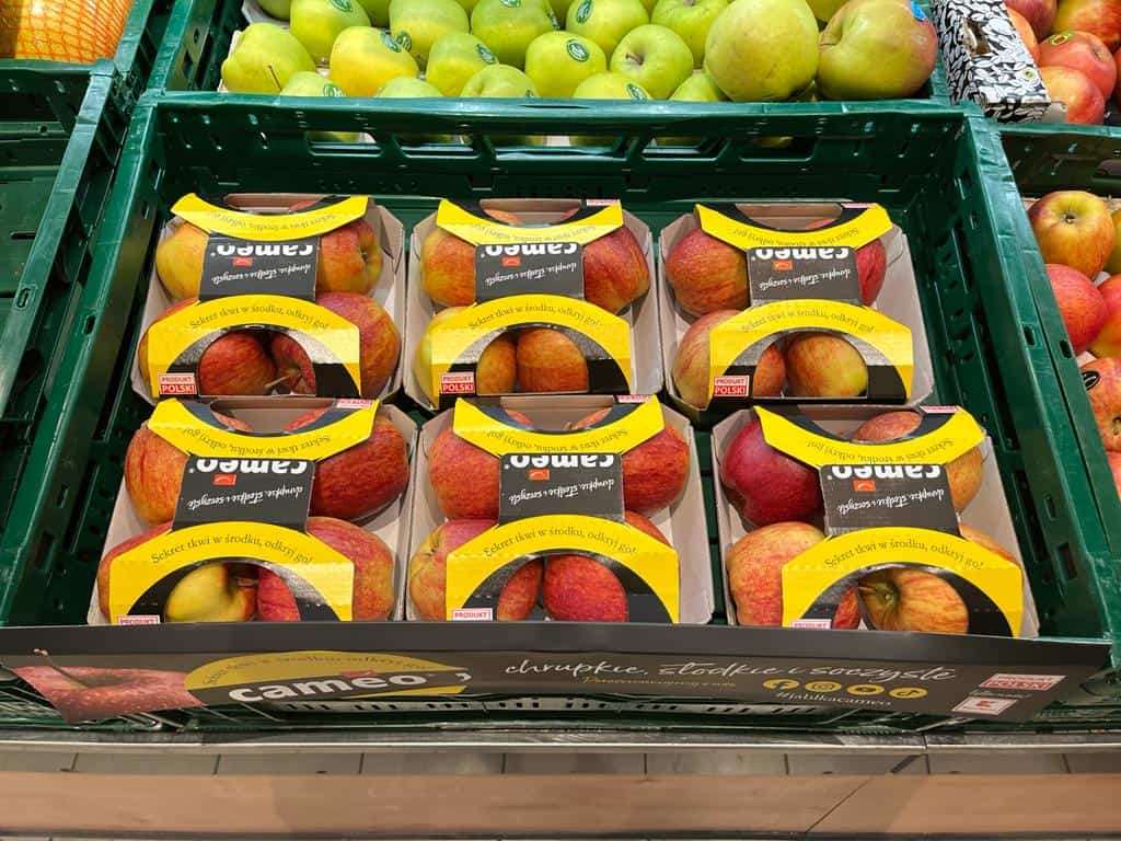 cameo-w-kaufland-2-fot-playinbio_1.jpeg