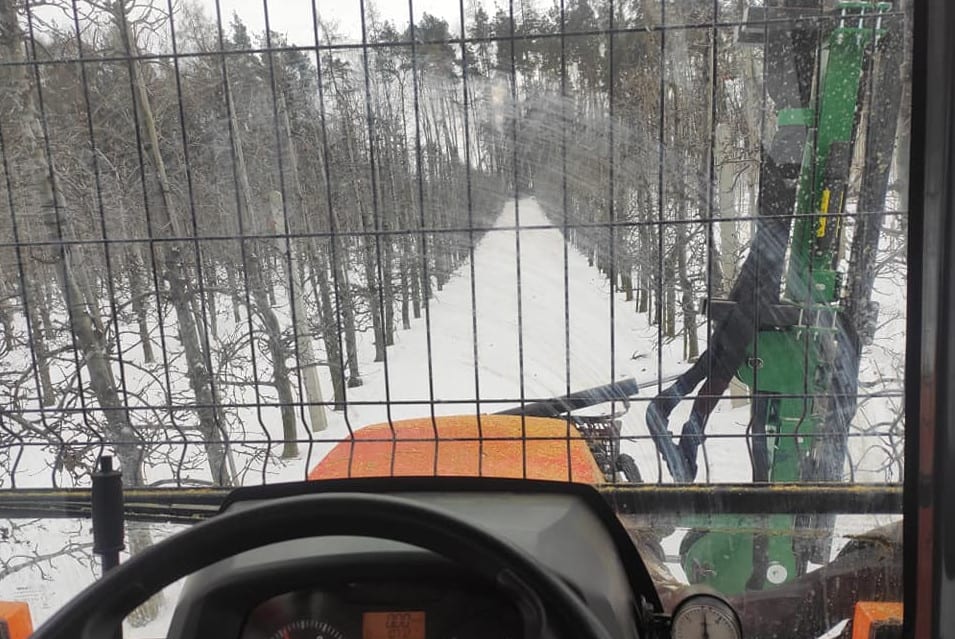 Ciąć sad czy może na razie nie ciąć?