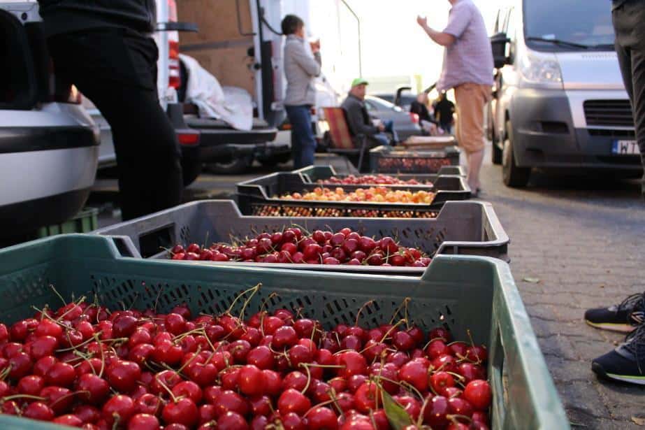 Zwiększony popyt na czereśnie spowodował wzrost ceny