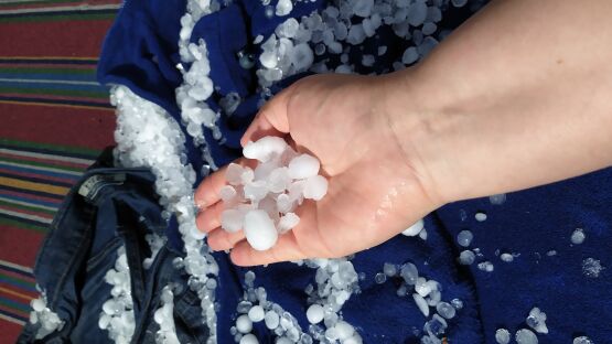 d5137381 de0c 46d8 85a8 2b8535d30861