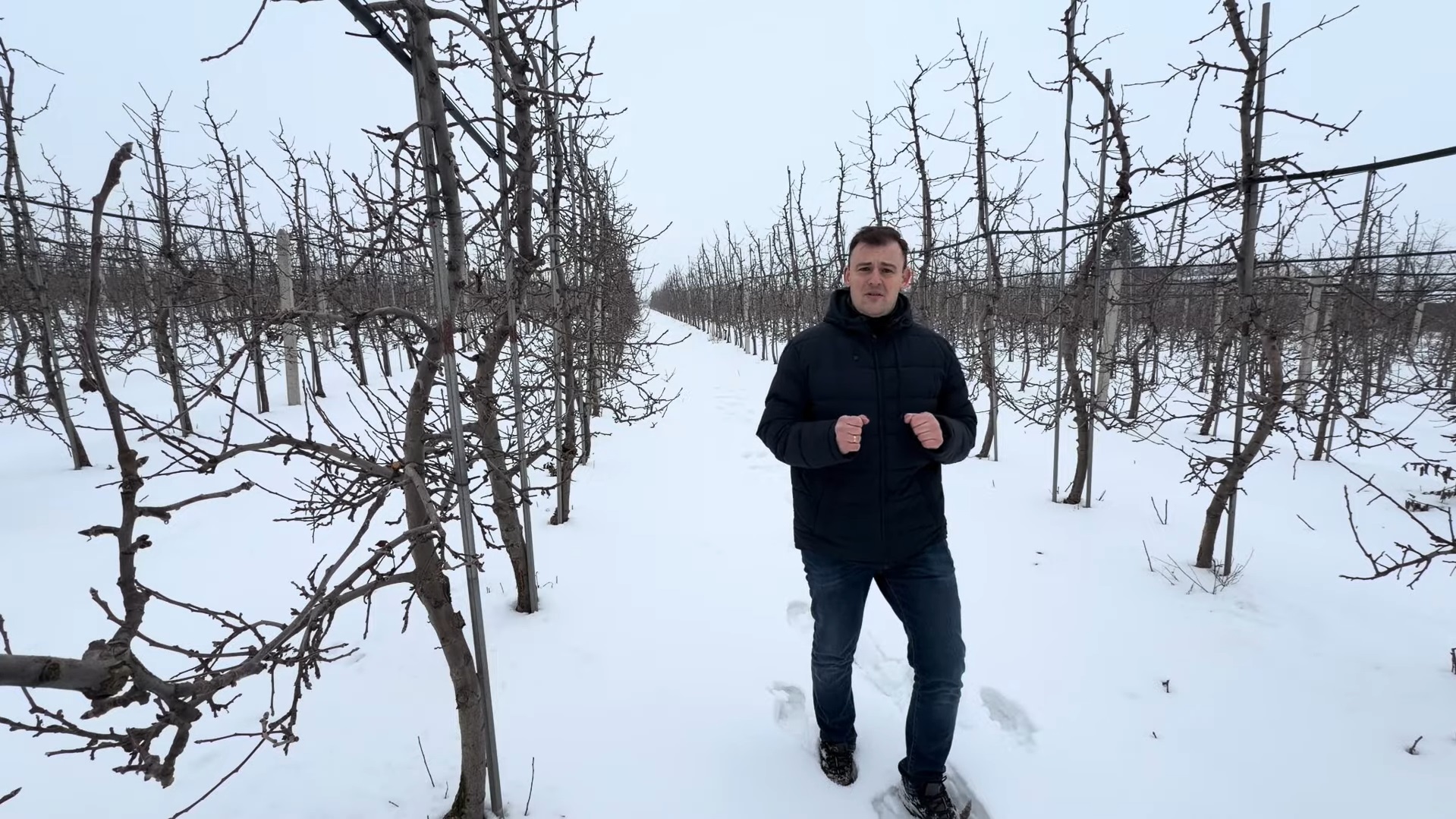 Pierwszy krok do podniesienia żyzności gleby