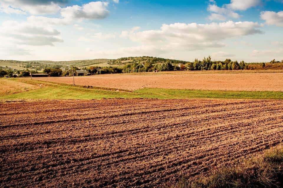 Będzie reaktywacja PGR-ów?