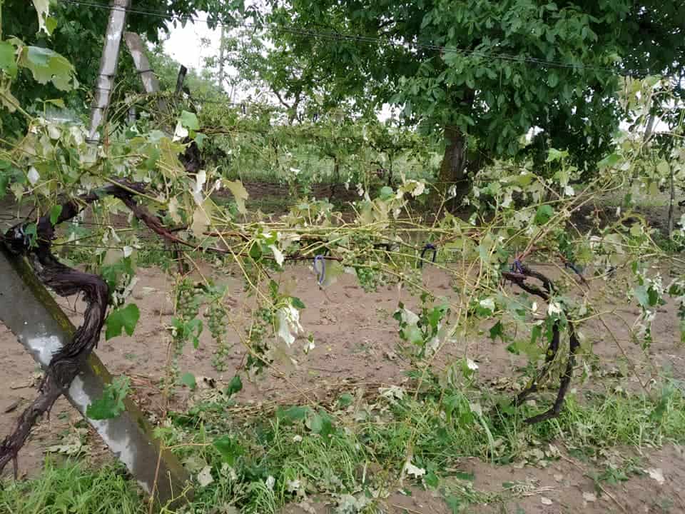 Mołdawia: 600 hektarów dotkniętych gradobiciem