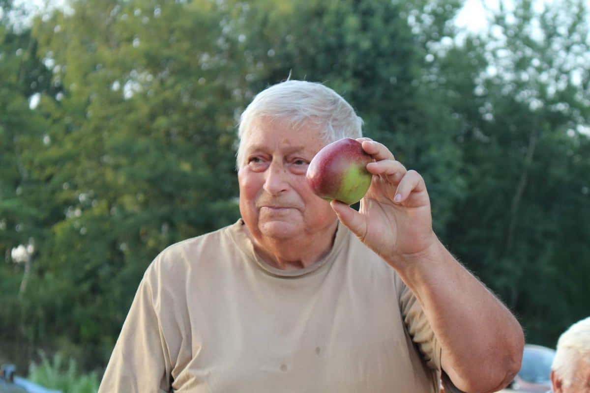 Odporne na parcha odmiany jabłoni polecane do uprawy ekologicznej