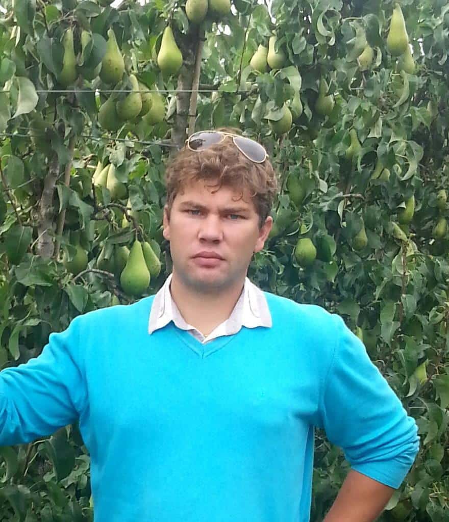 Zastanawiasz się nad uprawą gruszy? Cenne wskazówki podaje ekspert Michał Kot 