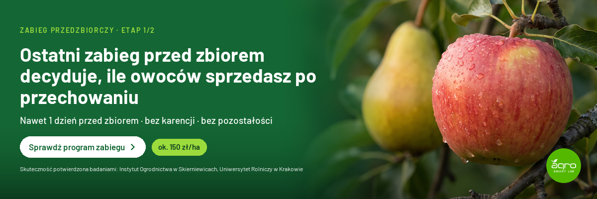 przedzbiorczy_1200x400.png