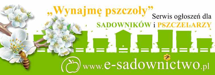 wynajme-pszczoly-serwis-ogloszen-dla-sadownikow-i-pszczelarzy